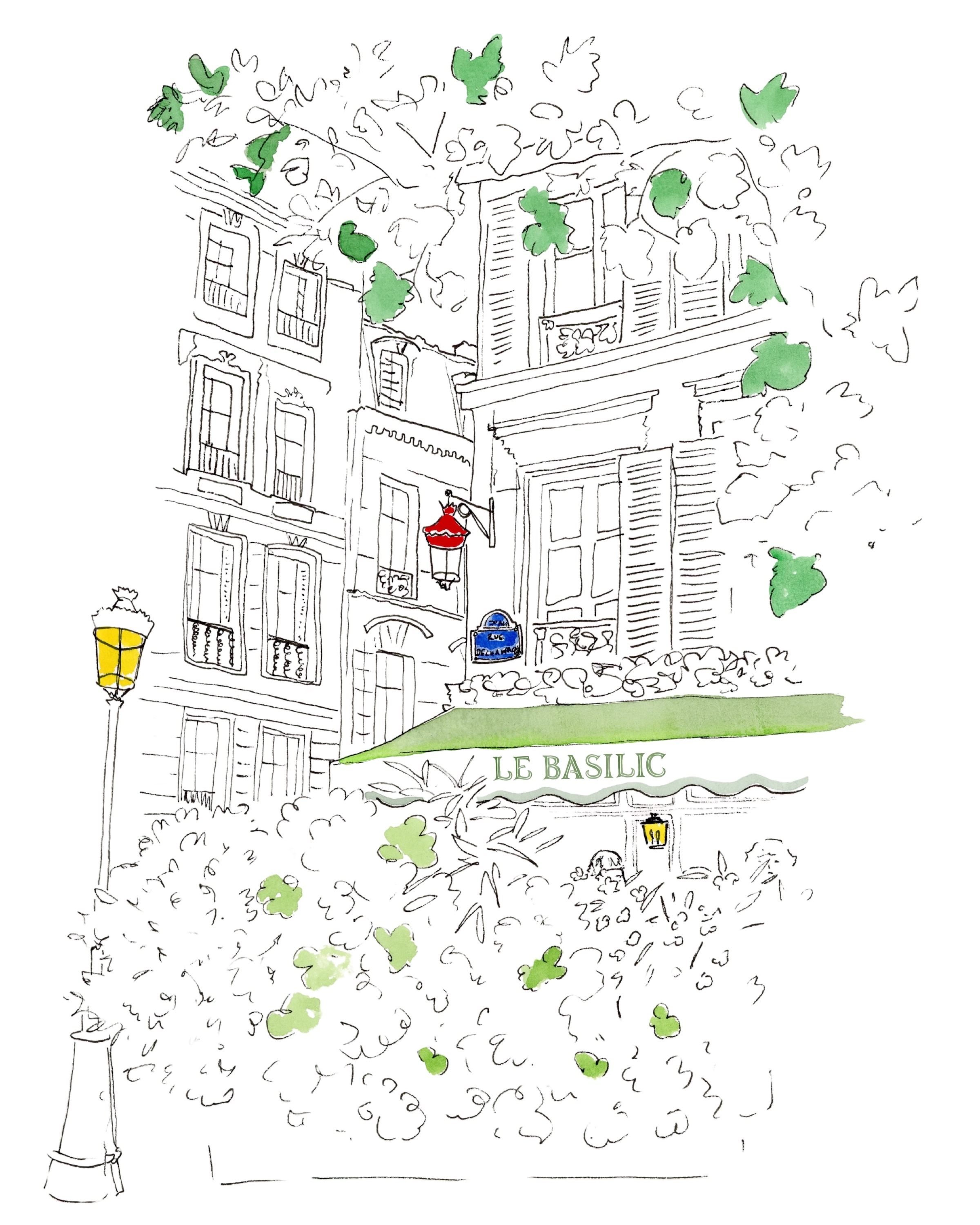 Le Basilic – illustration